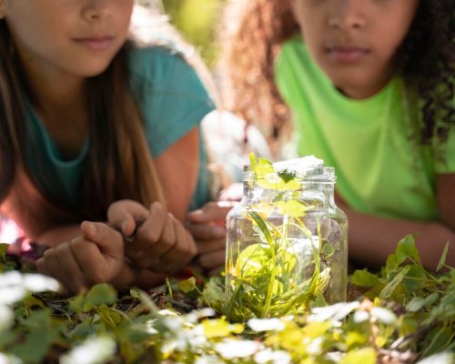 Children participating in an ecological workshop, learning about nature conservation.