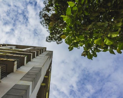 Eco-friendly building with vertical gardens promoting sustainable architecture.